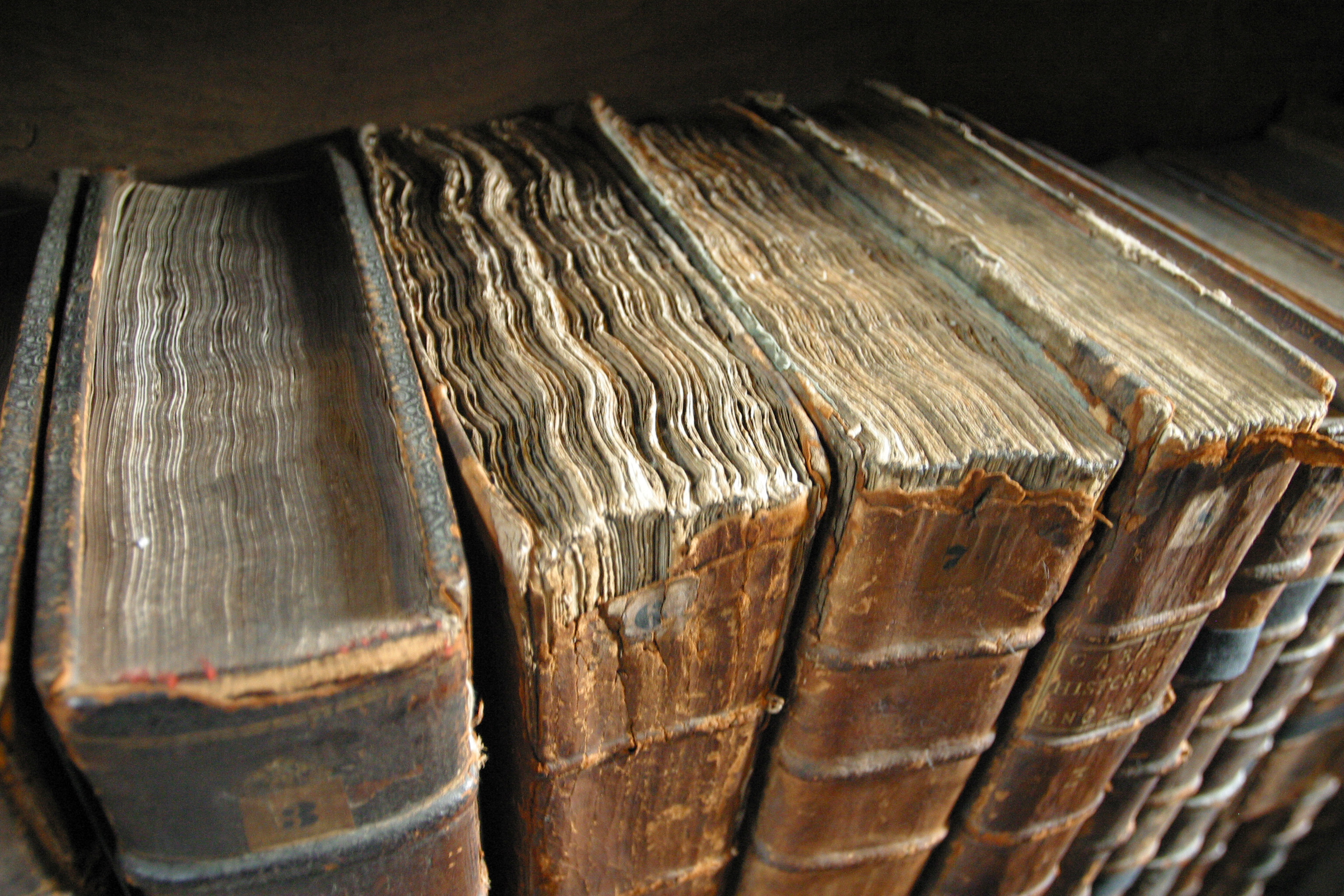 Historic books with richly textured bindings